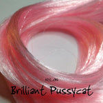 Brilliant Pussycat